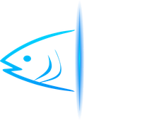 2NA Systems